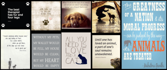 10 Amazing Quotes About Animals and Love | Cristina's Ideas