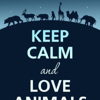 10 Amazing Quotes About Animals and Love: Part 2